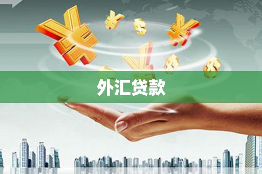 祁门外汇贷款