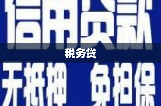 祁门税务贷