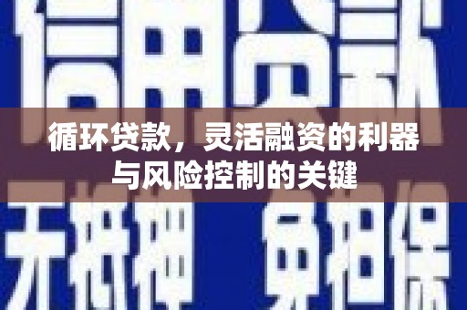 祁门循环贷款，灵活融资的利器与风险控制的关键