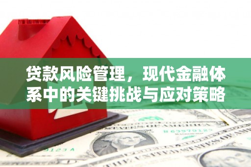 祁门贷款风险管理，现代金融体系中的关键挑战与应对策略