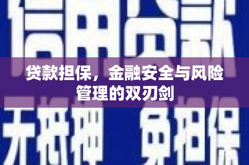 祁门贷款担保，金融安全与风险管理的双刃剑