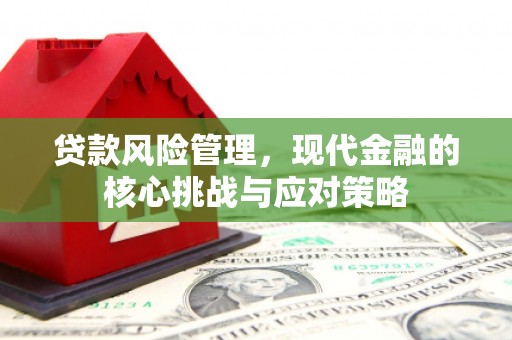 祁门贷款风险管理，现代金融的核心挑战与应对策略