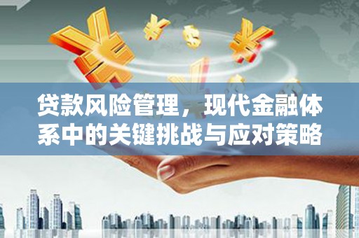 祁门贷款风险管理，现代金融体系中的关键挑战与应对策略