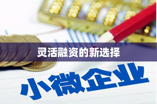 祁门灵活融资的新选择